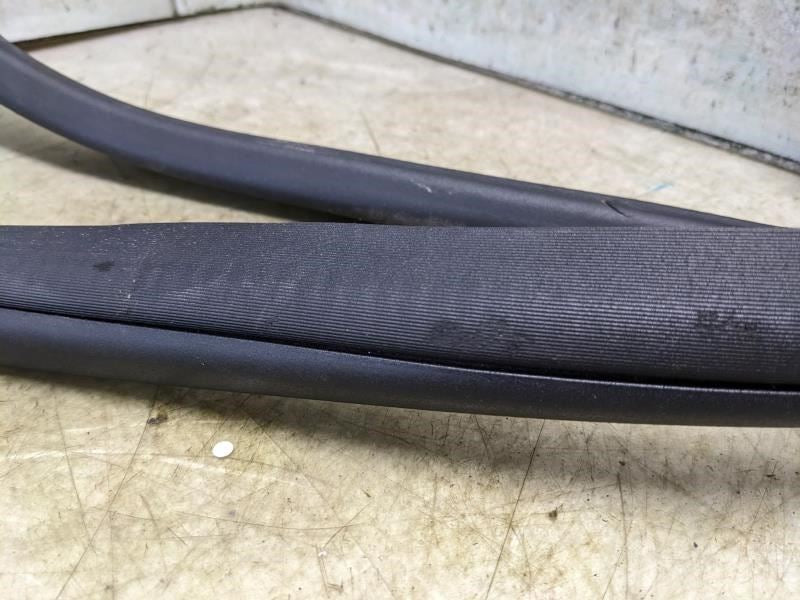 2015-21 Mercedes-Benz C300 Rear Left Door On Body Weatherstrip 205-697-01-51 OEM - Alshned Auto Parts