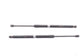 11-20 Toyota Sienna Rear Right and Left Liftgate Lift Cylinder Strut 68950-08011 - Alshned Auto Parts