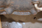 2010-12 Land Rover Range Rover HSE 5.0L 4WD Front Differential Carrier LR010798 - Alshned Auto Parts