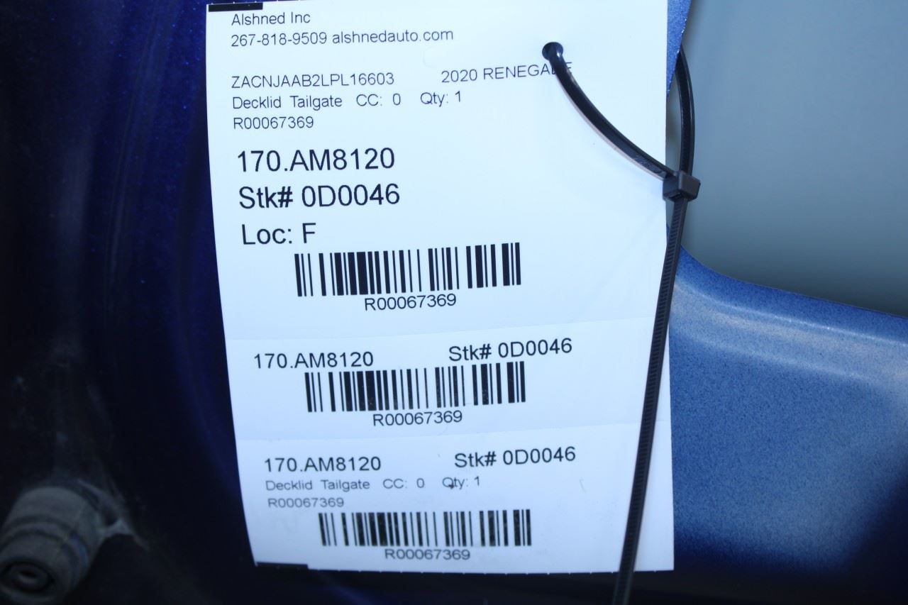 18-23 Jeep Renegade Liftgate Tailgate Back Door Shell Panel w/ Glass 68398869AA - Alshned Auto Parts