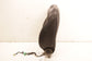 19-21 Jeep Cherokee Latitude Front Driver Left Side Seat Backrest Upper Cushion - Alshned Auto Parts
