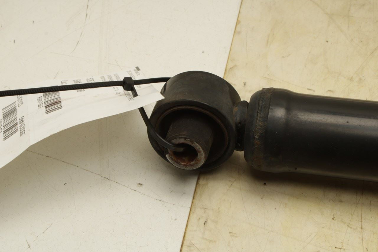 23-2025 Kia Sportage Hybrid EX 1.6L Rear Right Shock Strut Absorber 55300-CH210 - Alshned Auto Parts
