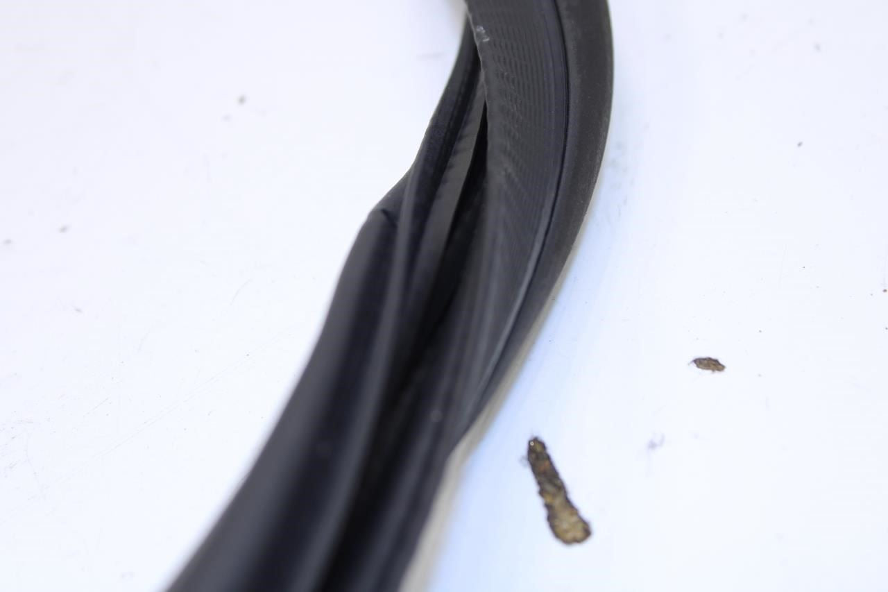 2019-2025 Cadillac XT4 Premium Rear Right Door Weatherstrip On Body 84234127 OEM - Alshned Auto Parts