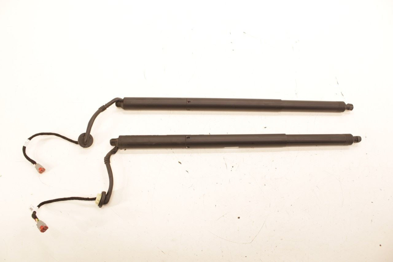 18-24 Ford Expedition MAX XLT Rear Right and Left Liftgate Lift Cylinder Strut - Alshned Auto Parts