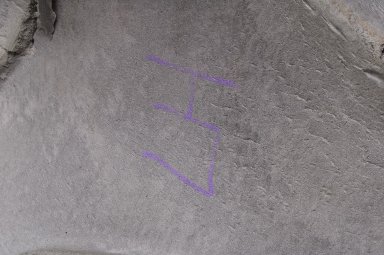 11-23 Dodge Charger GT 3.6L Front Driver LH Side Interior Carpet Cover Liner Mat - Alshned Auto Parts