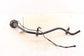 2019-2025 Infiniti QX50 Luxe 2.0L Fuel Filler Neck Hose Tube Pipe 17221-5NA0B - Alshned Auto Parts