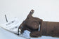 2013-2024 Ram 1500 Classic Crew Cab 5.7L 4WD 8-Spd Auto Trans Front Drive Shaft - Alshned Auto Parts