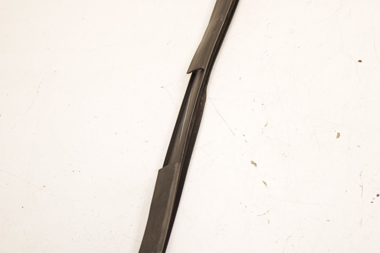 2012-18 Ram 1500 Big Horn Rear Left Door Run Channel w/ Belt Inner Weatherstrip - Alshned Auto Parts