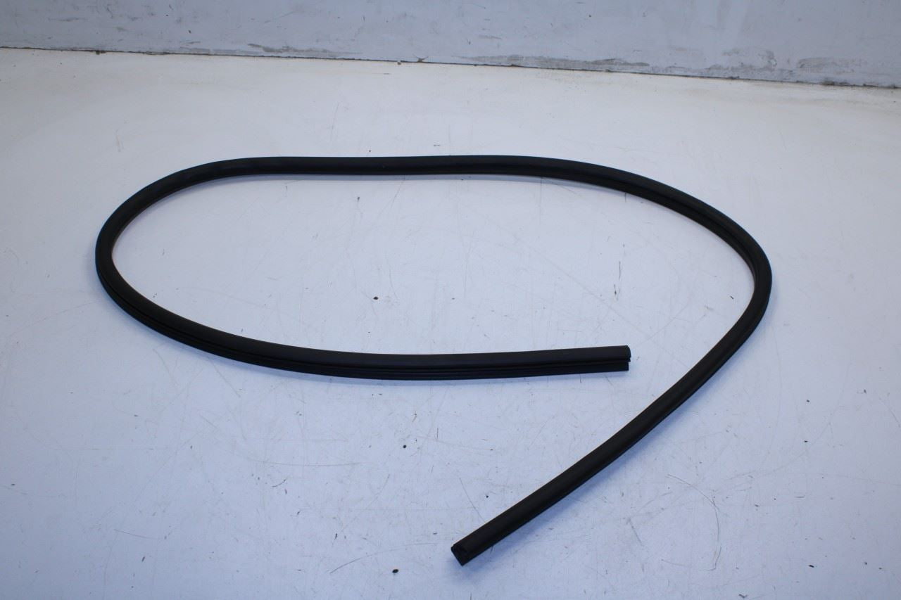 2008-2023 Dodge Challenger Front Left Door Run Channel w/ Weatherstrip On Body - Alshned Auto Parts