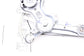 2016-2023 Toyota Tacoma Limited Rear Right Side Door Window Regulator w/ Motor - Alshned Auto Parts