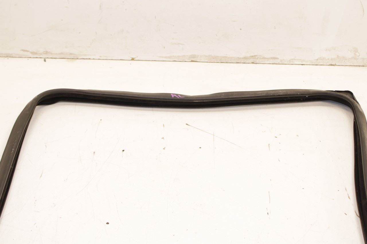 2012-18 Ram 1500 Big Horn Rear Left Door Run Channel w/ Belt Inner Weatherstrip - Alshned Auto Parts