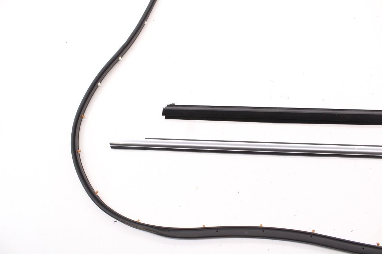 2019-2025 Infiniti QX50 LUXE Rear Right Door Weatherstrip with Belt Molding Set - Alshned Auto Parts