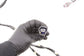 13-16 Ford F-250 Crew Cab Lariat Rear Left Side Door Wire Harness DC3T-14633-BCC - Alshned Auto Parts