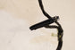 2020-2023 Dodge Charger GT AWD Front Right Seat Wiring Harness L001720586NCPAB - Alshned Auto Parts