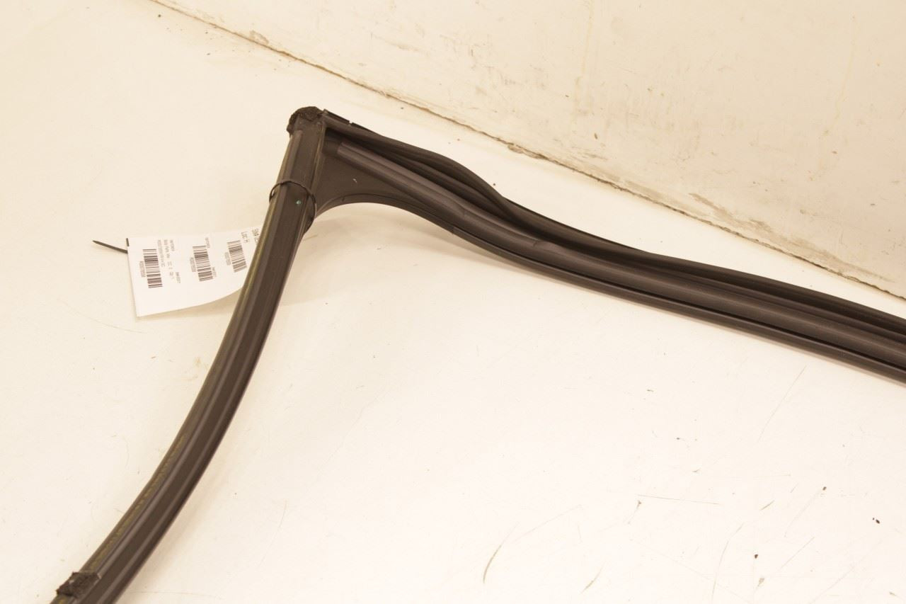 18-24 Ford Expedition MAX XLT Front Right Door Run Channel w/ Belt Weatherstrips - Alshned Auto Parts
