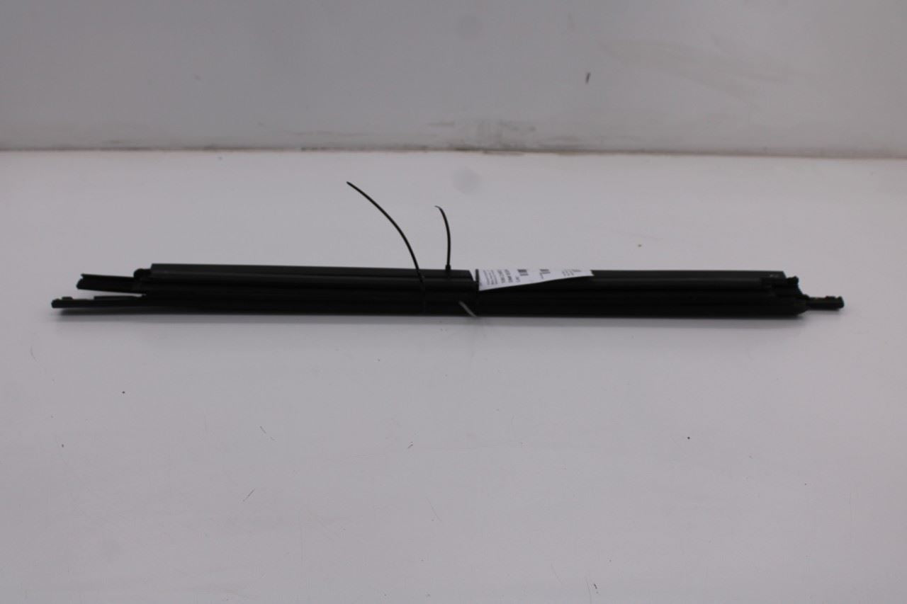 19-26 Ram 1500 Big Horn Front and Rear Right Side Door Window Belt Weatherstrips - Alshned Auto Parts