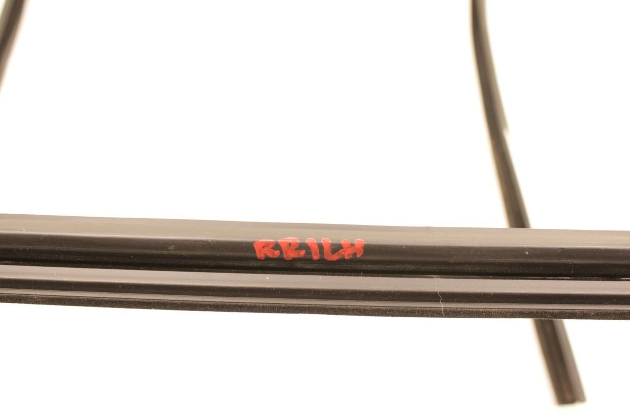 12-18 Ram 1500 Crew Cab Laramie RR LH Door Run Channel w Belt Inner Weatherstrip - Alshned Auto Parts