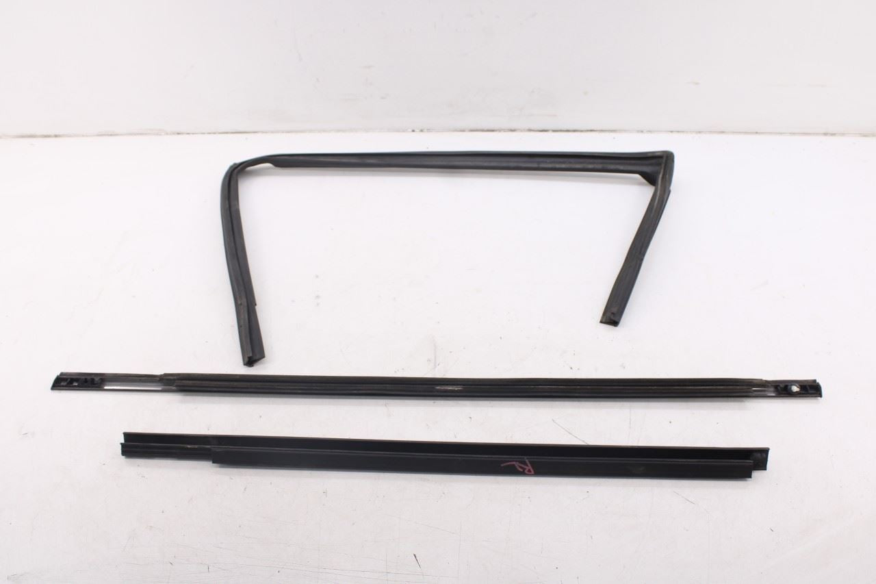 2010-20 Dodge Grand Caravan SXT Rear Left Door Window Run Channel Trim Belt Set0