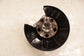 2019-25 Acura RDX SH-AWD Rear Left Driver Side Spindle Knuckle Hub 52215-TJB-A03 - Alshned Auto Parts