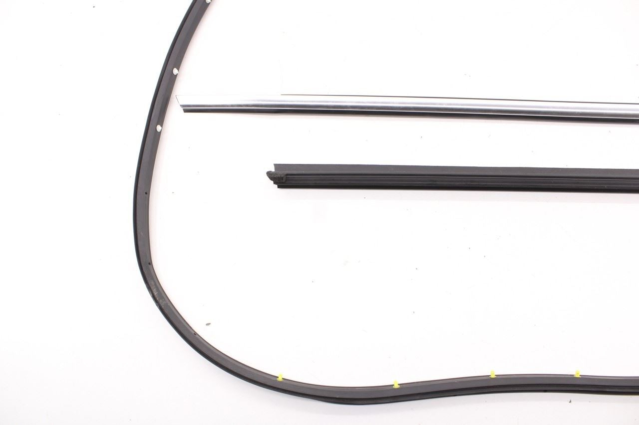 2019-2025 Infiniti QX50 LUXE Rear Left Door Weatherstrip with Belt Molding Set - Alshned Auto Parts