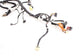 2019-20 Hyundai Santa Fe SEL Dash Instrument Panel Wire Harness 91100-S2690 OEM - Alshned Auto Parts