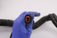 2021 Ram 1500 Big Horn Crew Cab Left Side Frame Chassis Wire Harness 68474851AC - Alshned Auto Parts