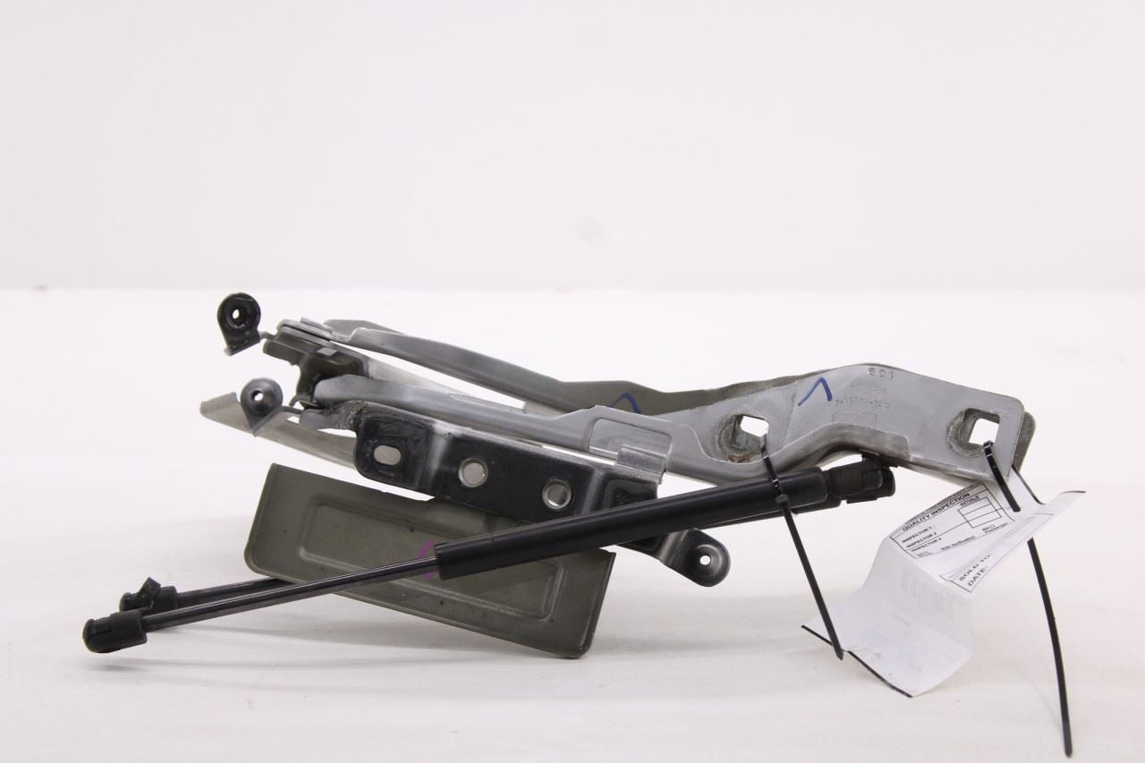 18-24 Ford Expedition Limited Front Right and Left Hood Hinge Set w/ Lift Struts - Alshned Auto Parts