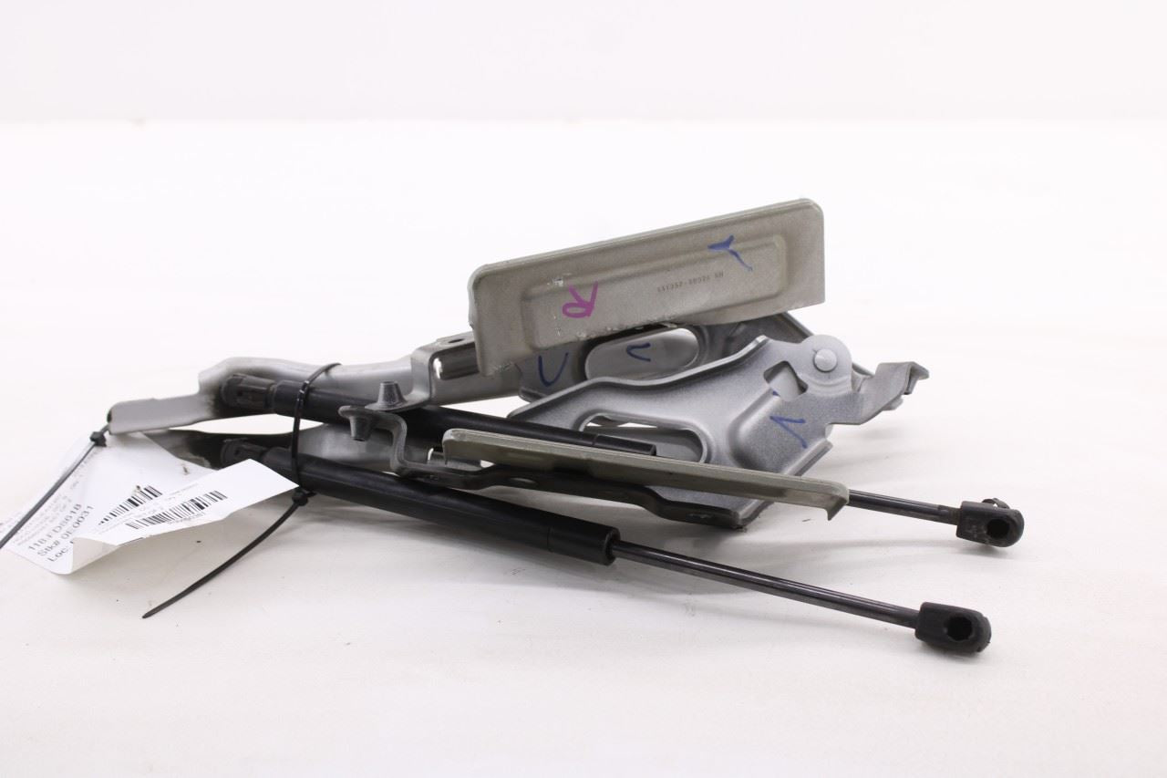 18-24 Ford Expedition Limited Front Right and Left Hood Hinge Set w/ Lift Struts - Alshned Auto Parts