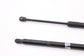 11-20 Toyota Sienna Rear Right and Left Liftgate Lift Cylinder Strut 68950-08011 - Alshned Auto Parts