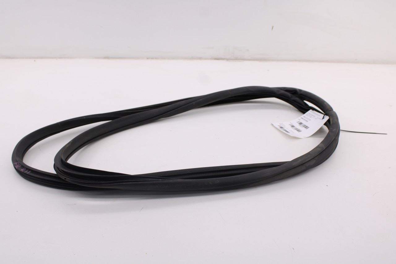 2019-26 Ram 1500 Big Horn Front Right Side Door Weatherstrip On Body 68402032AA2