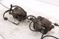 10-12 Land Rover Range Rover HSE 5.0L 4WD Rear RH and LH Side Brake Disc Caliper - Alshned Auto Parts