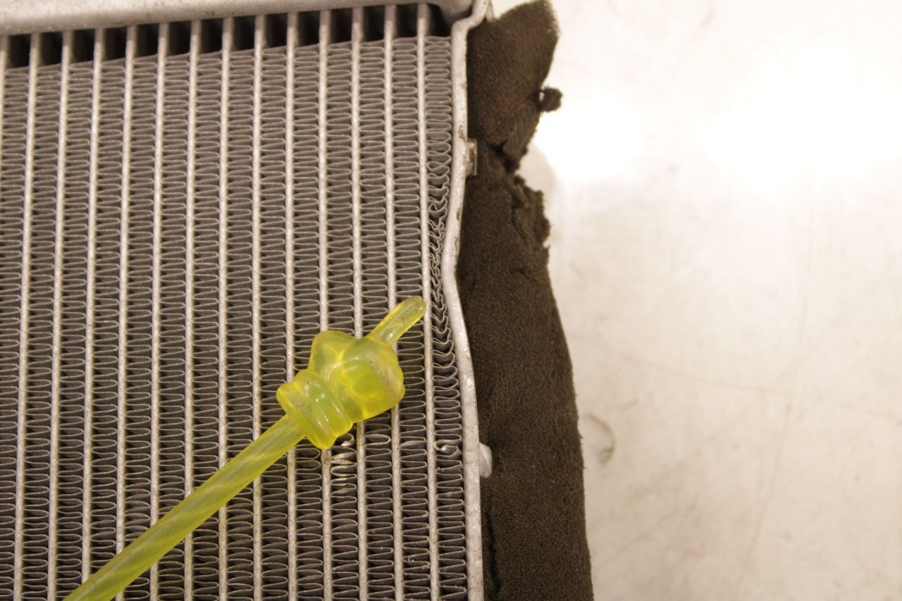 2018-2022 Ford EcoSport SE 1L Engine Cooling Radiator GN11-8005-CC *ReaD - Alshned Auto Parts