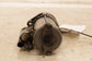 2022-2025 Hyundai Tucson SEL 2.5L Engine Starter Motor 36100-2S010 OEM - Alshned Auto Parts
