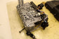2017-2023 Jeep Cherokee Latitude 3.2L 4x4 9-Spd Auto Transmission Valve Body 71K - Alshned Auto Parts