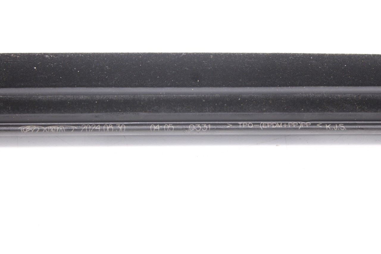 2021-2026 Hyundai Elantra SE Rear Right Door Window Run Channel w/ Weatherstrips9