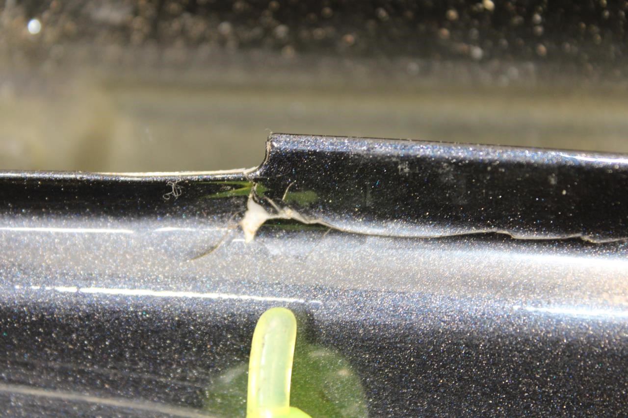 2018-2023 Kia Stinger GT1 Front Left Door Shell Panel 76003-J5000 OEM *ReaD* - Alshned Auto Parts