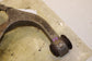 11-20 Ram 1500 Big Horn 4WD Front Suspension Right Side Lower Control Arm *ReaD* - Alshned Auto Parts