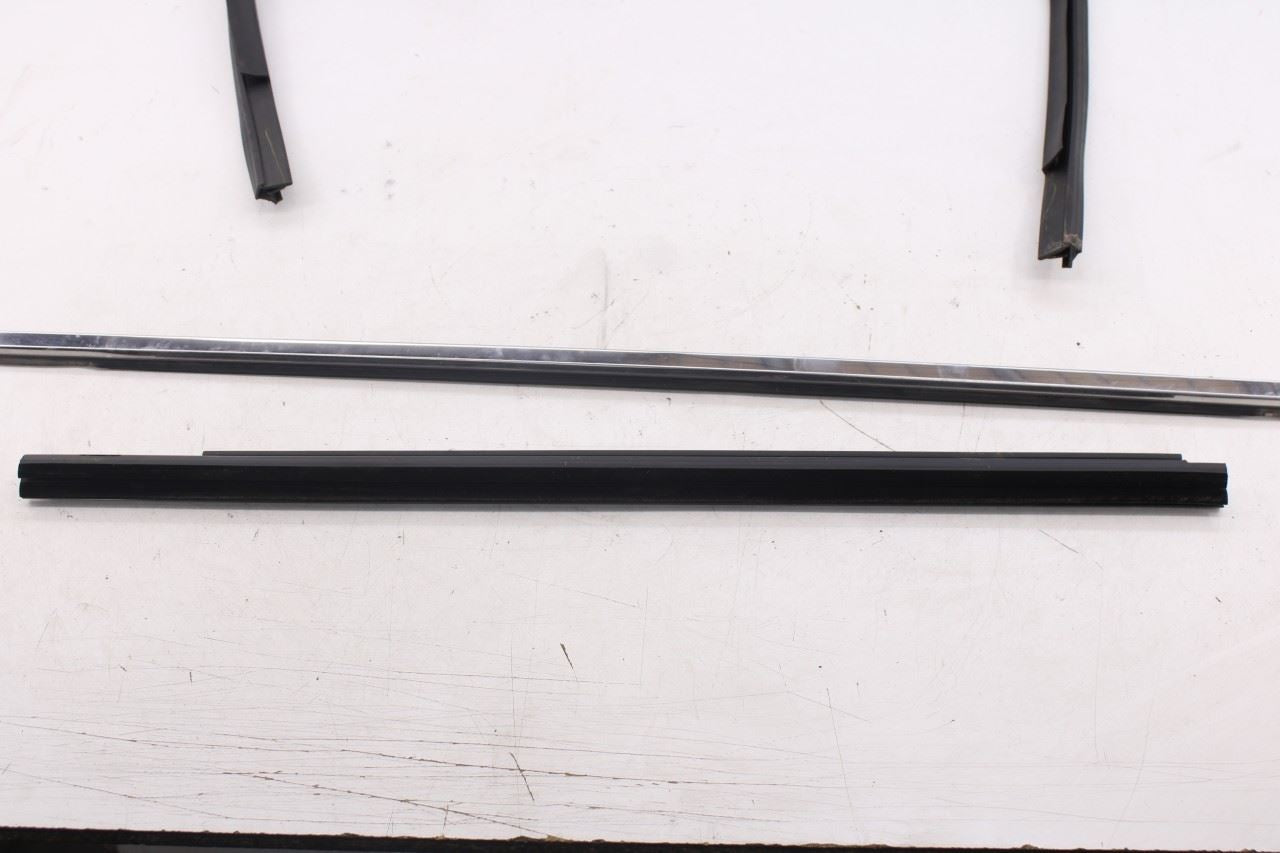 2010-20 Dodge Grand Caravan SXT Rear Left Door Window Run Channel Trim Belt Set8