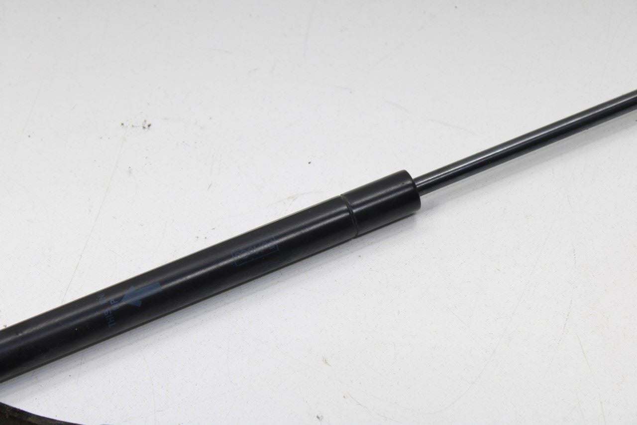 2015-20 Ford F150 Super Cab Lariat Front RH and LH Hood Hinge Set w/ Lift Struts - Alshned Auto Parts