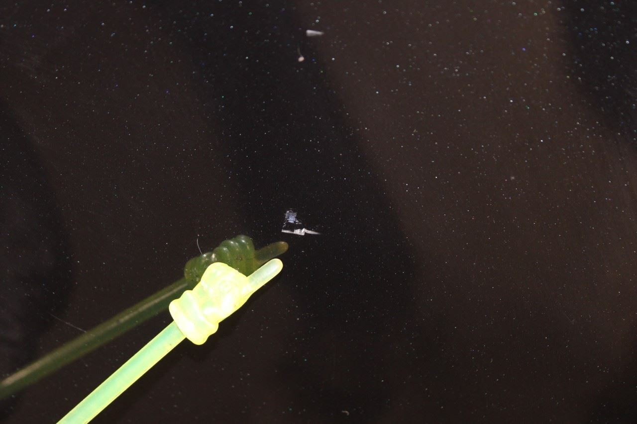 2023-2025 Kia Sportage Hybrid EX Rear Left Driver Door Shell Panel 77003-P1000 - Alshned Auto Parts