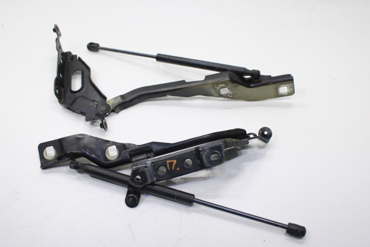 2015-20 Ford F150 Super Cab Lariat Front RH and LH Hood Hinge Set w/ Lift Struts - Alshned Auto Parts