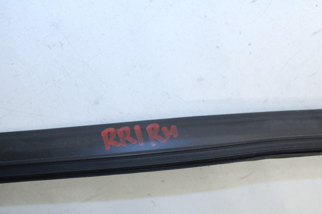 2013-2020 Lexus GS350 Rear Right Door Window Run Channel with Belt Outer Molding - Alshned Auto Parts