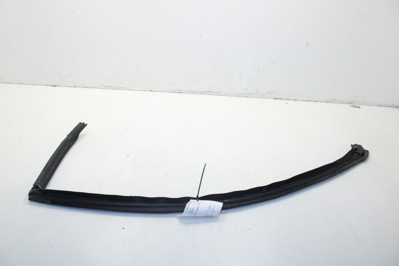 2008-2023 Dodge Challenger Front Right Door Run Channel w/ Weatherstrip On Body - Alshned Auto Parts