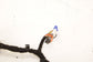 2020-23 Dodge Charger GT AWD Front Left Driver Door Wire Harness 68427949AD OEM - Alshned Auto Parts