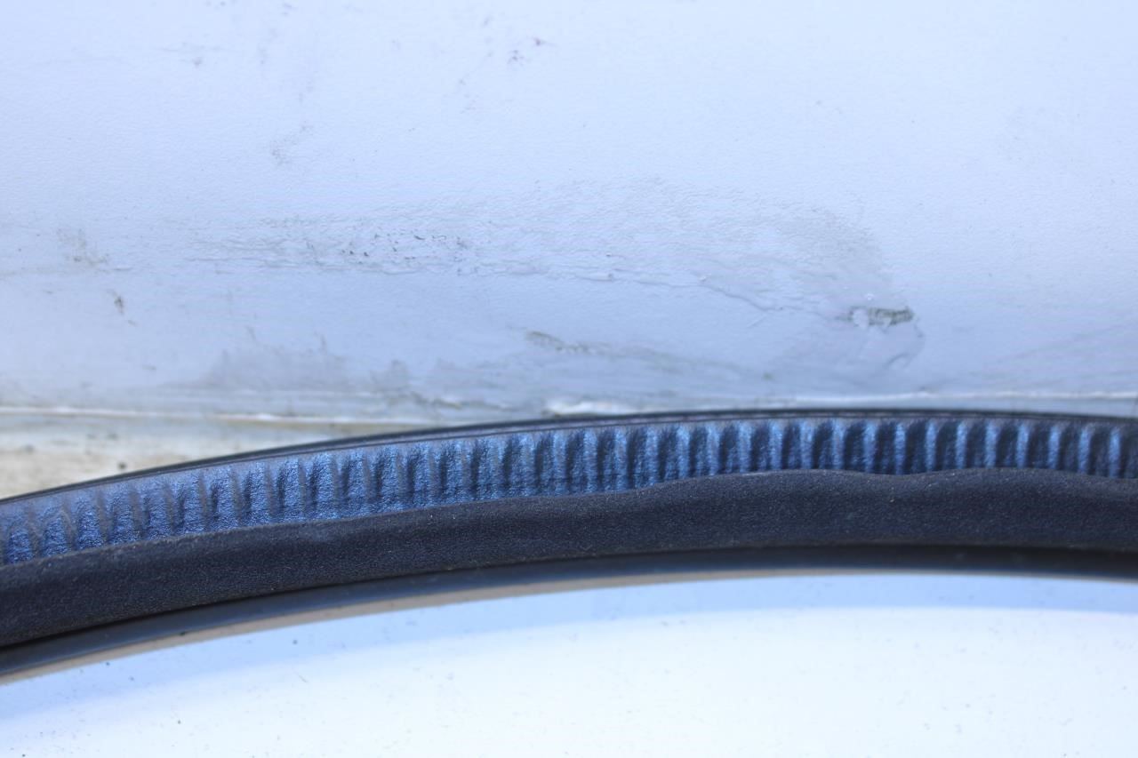 2014-23 Infiniti Q50 Luxe RWD Front Right Door Weatherstrip On Body 76921-4GA0A - Alshned Auto Parts