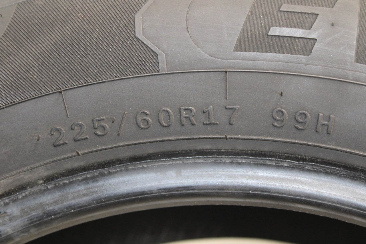 2022 Tire Evoluxx Capricorn HP 225/60R17 99H Pair R65555 - Alshned Auto Parts