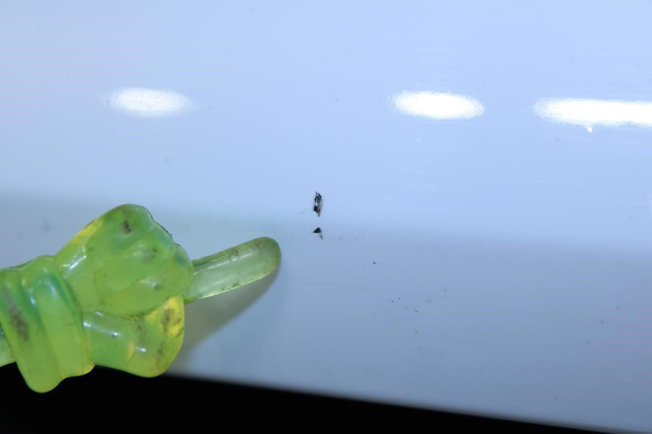 2018-2020 Ford F150 XL Front Bumper Radiator Grille w/ Emblem JL3Z-8200-SRPTM - Alshned Auto Parts