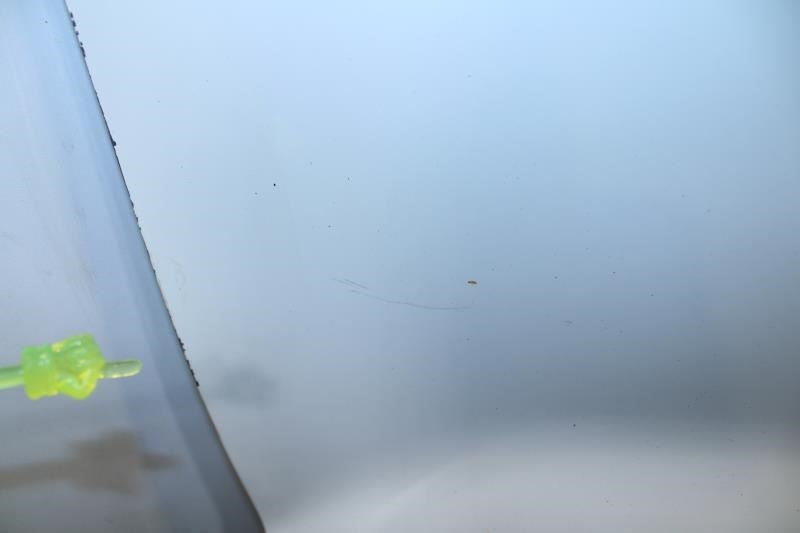 2019-2022 Ford EcoSport Front Left Driver Door Shell Panel GN1Z-7420125-T OEM - Alshned Auto Parts