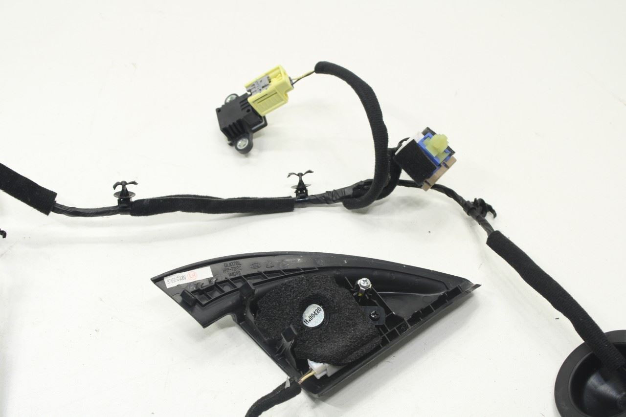 2020 Kia Sorento LX Front Left Door Wire Harness w Corner Tweeter Speaker *ReaD* - Alshned Auto Parts