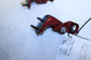 15-25 Ford F150 Platinum Rear Left Door Hinge Upper and Lower Set FL3Z-1626801-A - Alshned Auto Parts